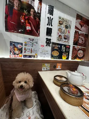 Review photo 1 from MASTER CHAN DIM SUM SPECIALISTS