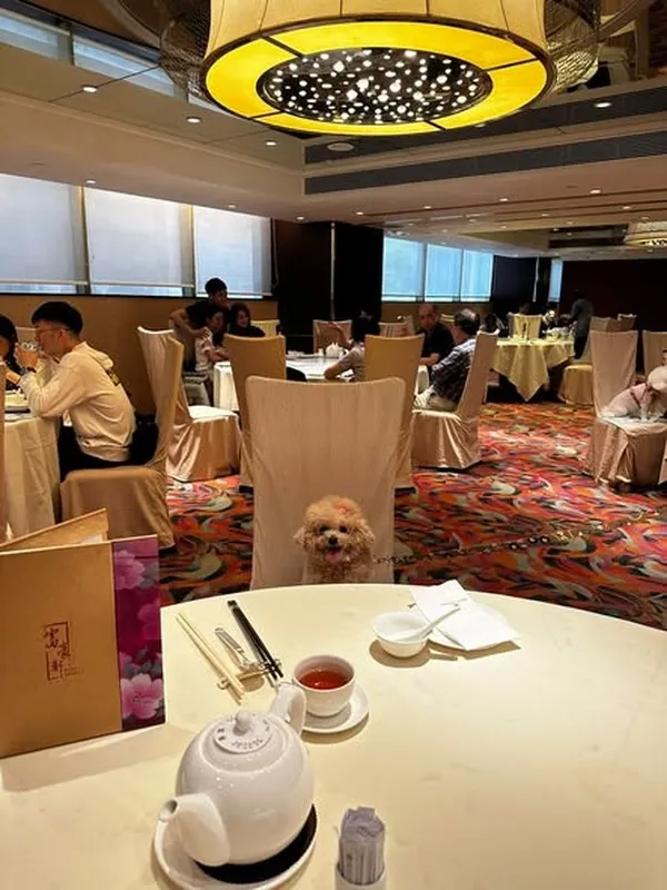 Member restaurant visit photo