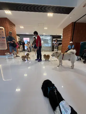 新城市廣場 的評價照片 3