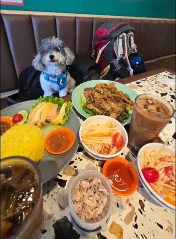 Review photo 1 from THAI GRILL